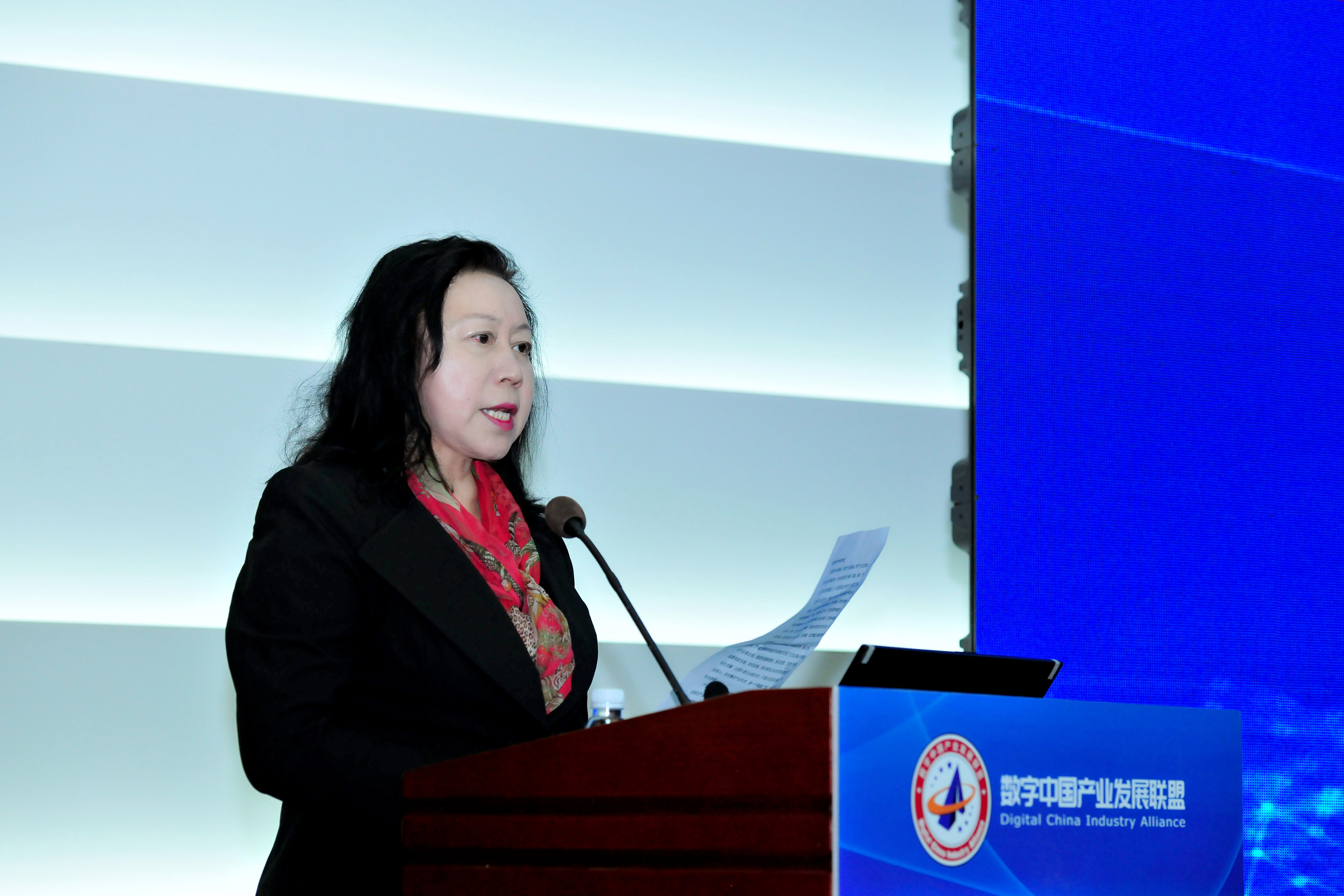 <b>王晶CEO出席数字中国产业发展联盟成立大会并发表演</b>