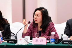 王晶理事长出席中日执政党交流机制第七次会议并发表演讲