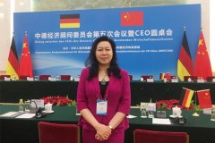 集团CEO王晶出席中德经济顾问委员会座谈会